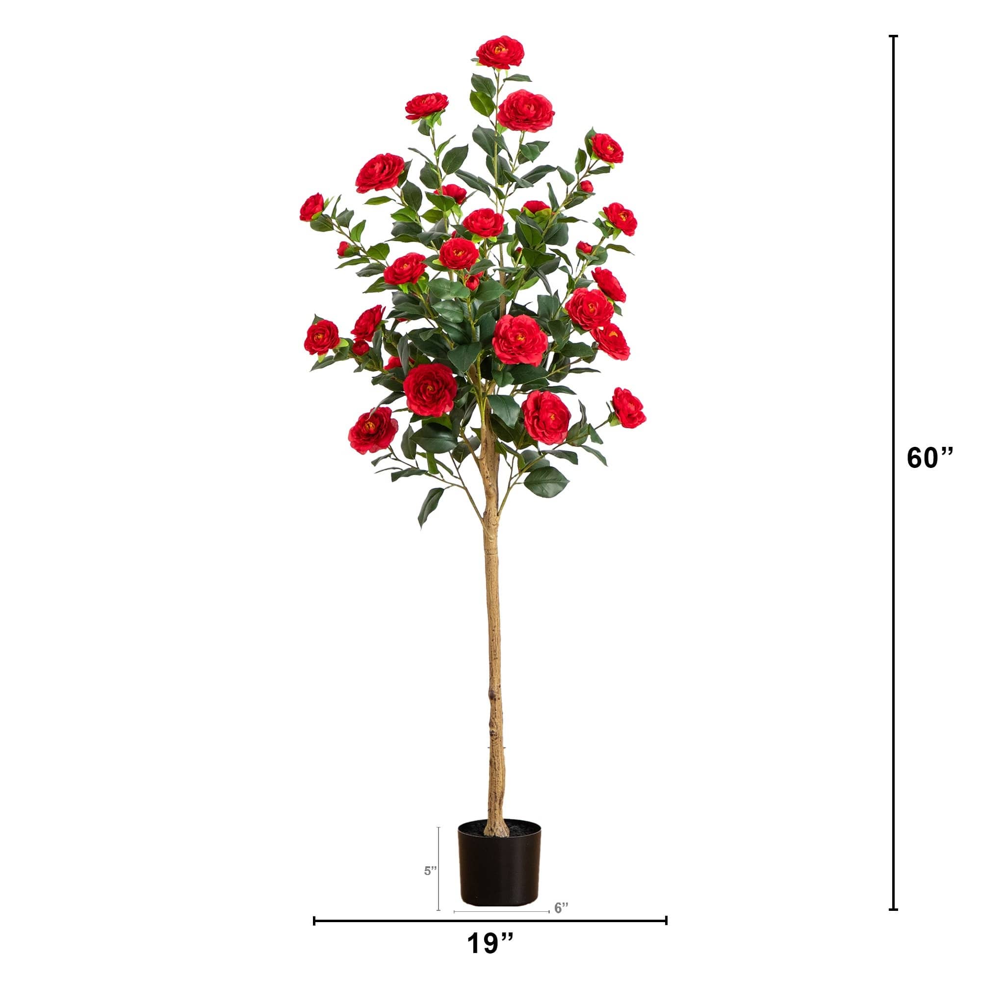 5ft. Potted Red Camellia Rose Tree